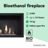 Riano bio-ethanol inbouwhaard (1)